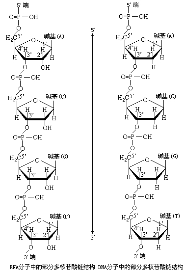 农林与工程系 山西运城农业职业技术学院